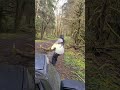 Trails near Bogachiel State Park #relaxing #washington #forest #olympicpeninsula #nature #pnw #moss