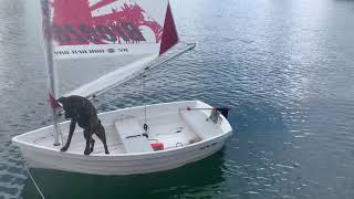 Walker bay 8