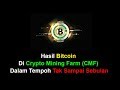 Hasil Bitcoin Di Crypto Mining Farm (CMF) Dalam Tempoh Tak ...