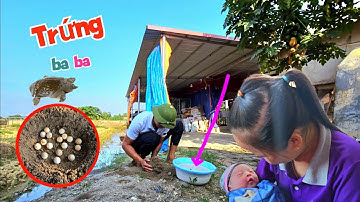 Chào Mừng Em Bé Thành Viên Mới Của Gia Đình Quế Nghịch Và Ấp Thử Ổ Trứng Baba / Quế Nghịch