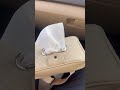 Car tissue holder