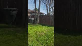 02/29/18@2:33pm outside