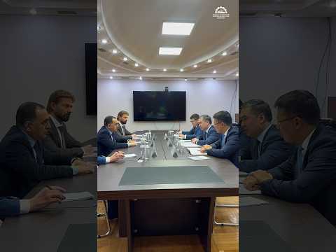 Ерсайын Нағаспаев Danieli Group өкілдерімен кездесті