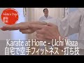 【Uchi waza 打ち技】#18 Karate Fitness Training at Home #18 打ち技 誰でも自宅で空手フィットネス18【Akita's Karate Video】
