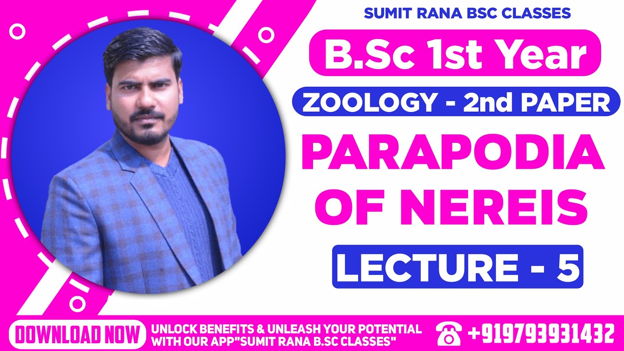 (Lt-05) PARAPODIA OF NEREIS & HETERONEREIS || ZOOLOGY 2nd Paper || B.Sc.1st Year