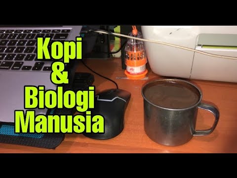 Video: Mengapa Kopi Adalah Minuman Paling Popular Di Dunia