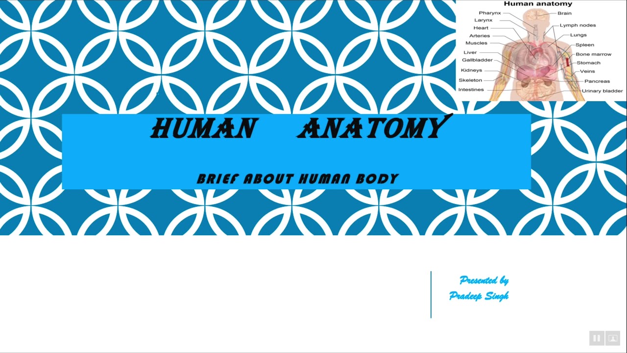 Respiratory System - YouTube