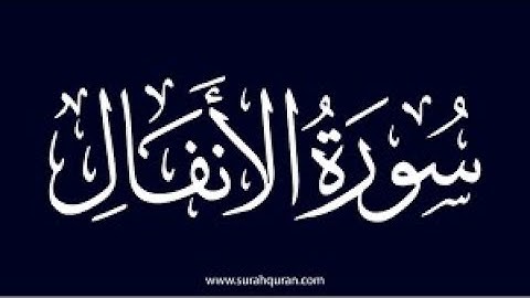 سورة الأنفال من اية 41 الى 75