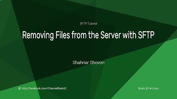 07. Removing Files from the Server with SFTP