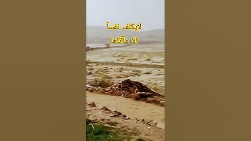 لا يكلف الله نفسا إلا وسعها..#تلاوات_خاشعة #القارئ#ماهر_المعيقلي #القرآن_الكريم  #تلاوات_خاشعة