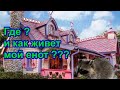 Где ? И как живет мой домашний енотик 🦝