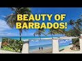 Barbados top places and beaches