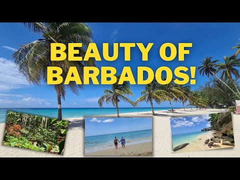 تصویری: بهترین سواحل باربادوس