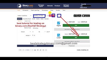 secret trading strategy binary rises falls