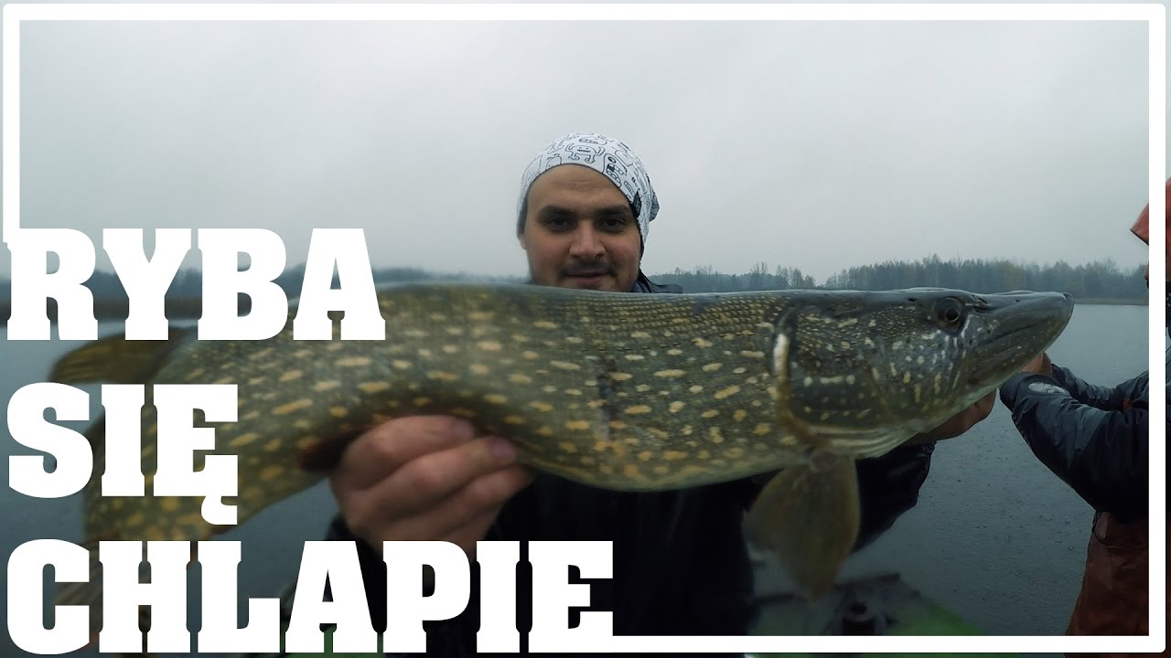 Szczupaki w deszczu | Kaczki i myszy czyli dziwne przynęty Majkiego | Ryba się chlapie