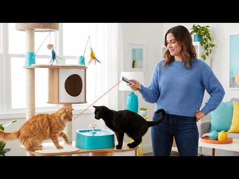 Whisker Wonderland: Must-Have Gadgets for Feline Fun! 🐱✨