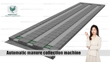 Automatic Poultry Farm Manure Removal Scrapers