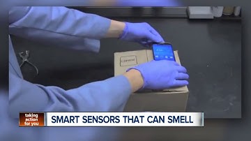 mit researchers develop sensor that can detect spoiled food hazardous gases cutted