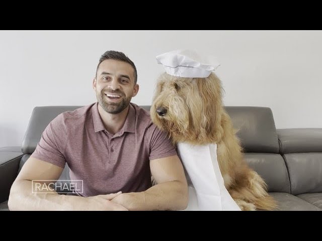 This Man & His Dog Travel Around Sharing Their Adventures on Social Media to 4 Million Followers | Rachael Ray Show