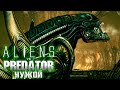 Начало за ЧУЖОГО - ALIEN vs PREDATOR Прохождение #6