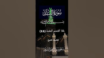 سورة البلد لفضيلة الشيخ /سعود الشريم #سورة_البلد#القرآن_الكريم #سعود_الشريم#راحه_نفسيه.