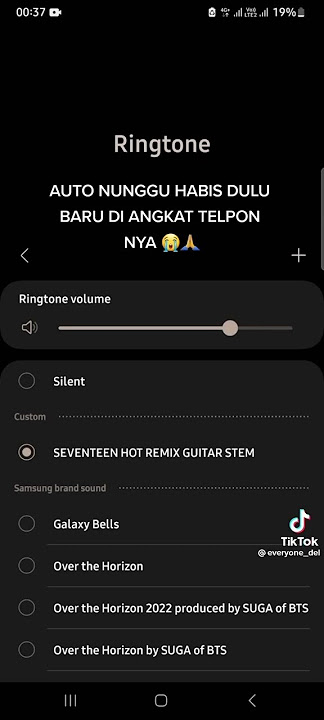 SEVENTEEN HOT REMIX GUITAR STEAM