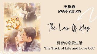 王栎鑫 Wang Yue Xin - 拥抱的法则 Yong Bao de Fa Ze / The Law of Hug (机智的恋爱生活 The Trick of Life and Love OST)