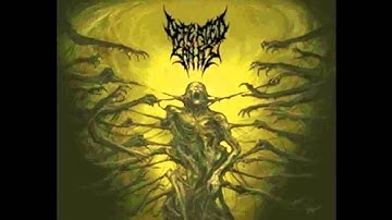 DEFEATED SANITY - Lusting for Transcendence