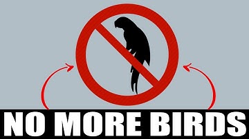 Sound To Scare Birds Away | ONE HOUR