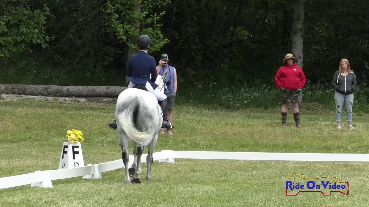 horseshoe bend 250D Macartney Greenfield on Signature AB Novice AM Dressage Aspen Farms June 2019