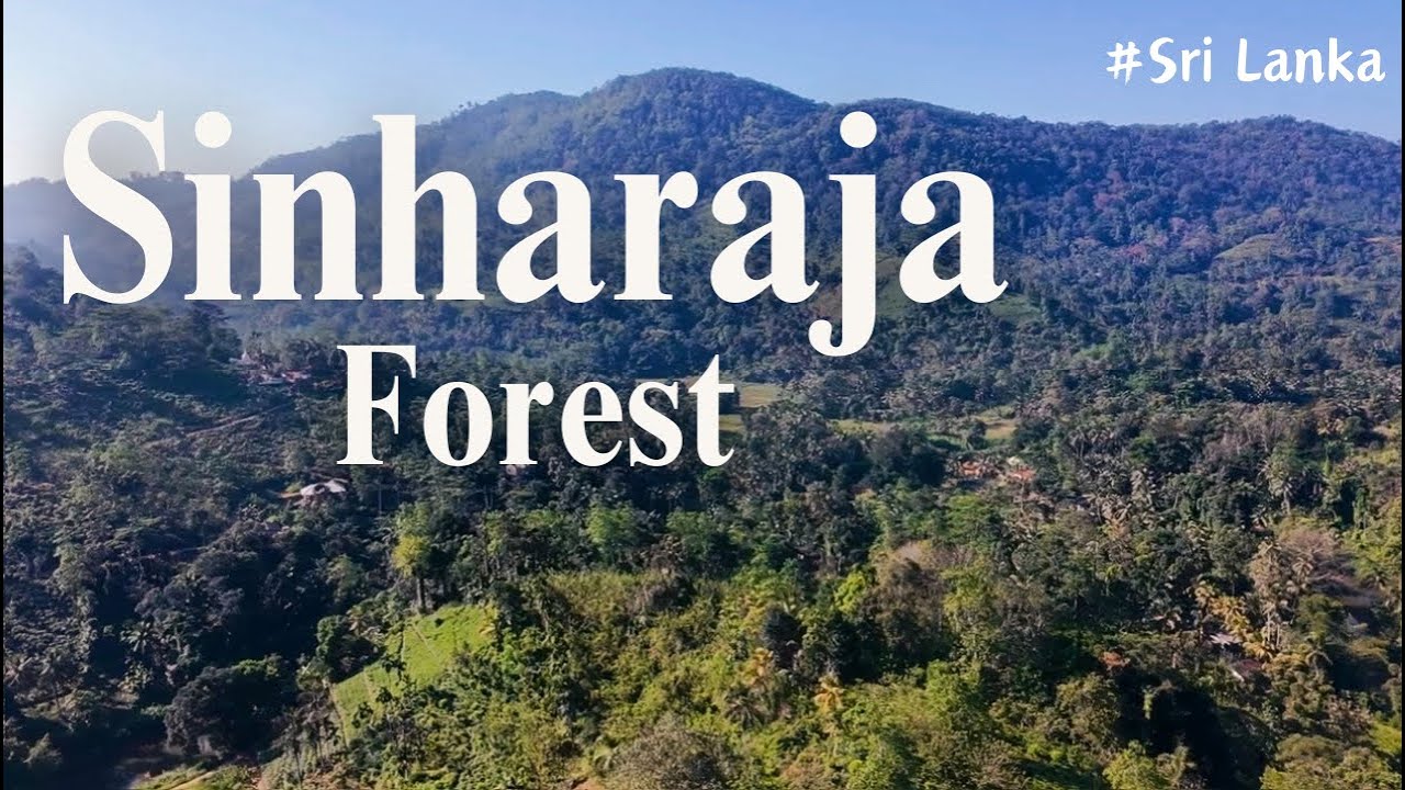 Majestic Aerial Views of Sinharaja Forest – Sri Lanka