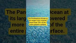 what is Panthalassa ???