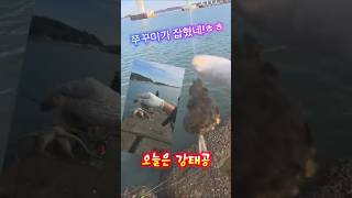 #불어라바람아 #한승기 #쇼츠