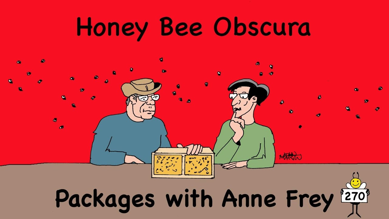Package Bees with Anne Frey (270)