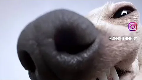 The video is self explanatory you don’t need a title