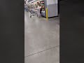 why you get sick from Walmart food