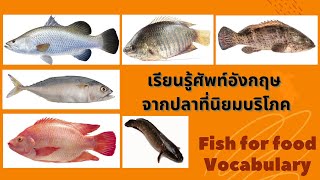 ปลาต่างๆที่นิยมบริโภค คำศัพท์ภาษาอังกฤษคืออะไร I Fish for food Vocabulary