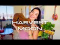 Harvest moon by neil young ukulele tutorial