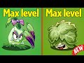 PvZ 2 Headbutter Lettuce Max Level Vs Pokra Max Level