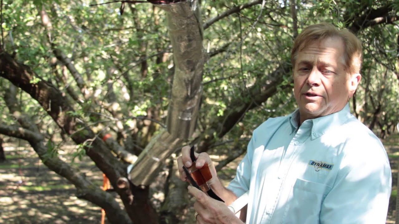 Dynamax Sap Flow Sensors Background and Introduction. YouTube
