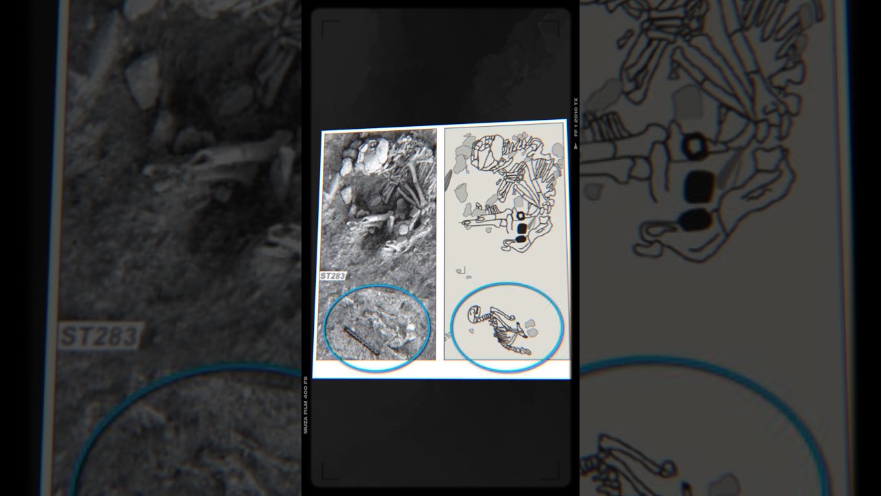 Человек и кошка.