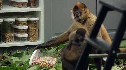 Rediscover the Joy of the Kitchen