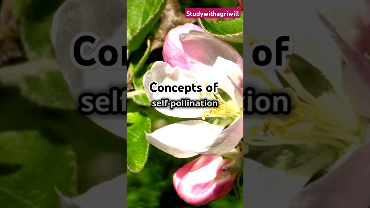 Concepts of Pollination in plantes| 
