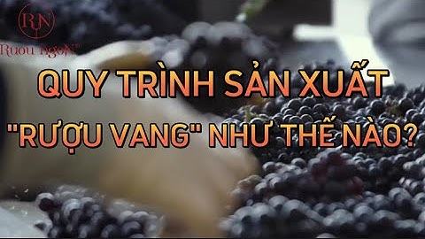 Quy trình sản xuất rượu vang như thế nào | Rượu Ngon Đà Nẵng