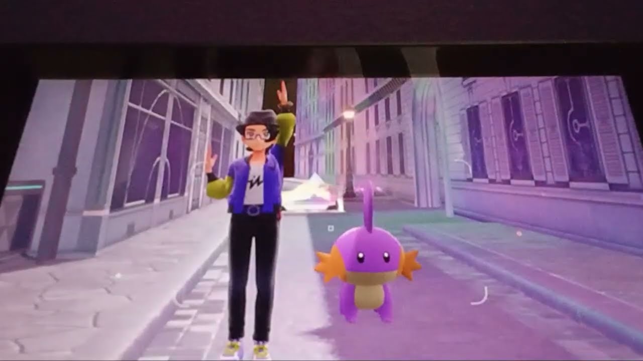 The journey to get my Shiny Alpha Mudkip (Pokemon Legends Z-A)