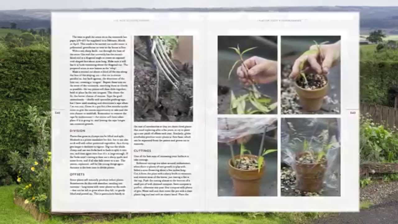 Mark Diaconos New Kitchen Garden book