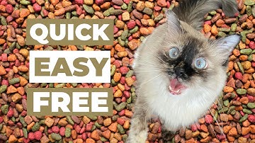 DIY Puzzle Feeder your cat will LOVE!