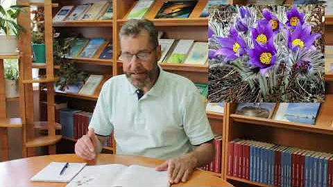 Изучаем край с А.И. Климовым «Сон-трава»