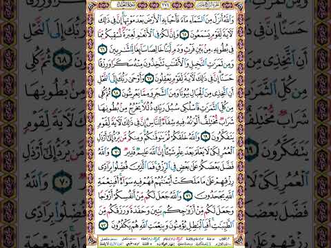 274 الصفحة مائتين وأربعة وسبعين سورة النحل 