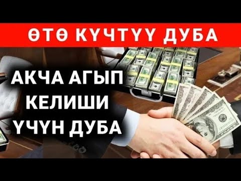 Video: Сикирлер кутурманы алып жүрөбү?